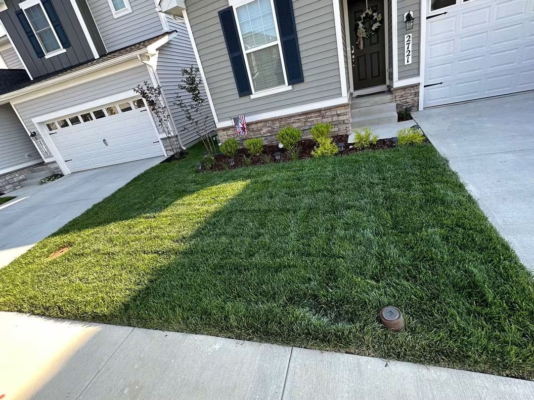 Freshly mowed front lawn with clean edges